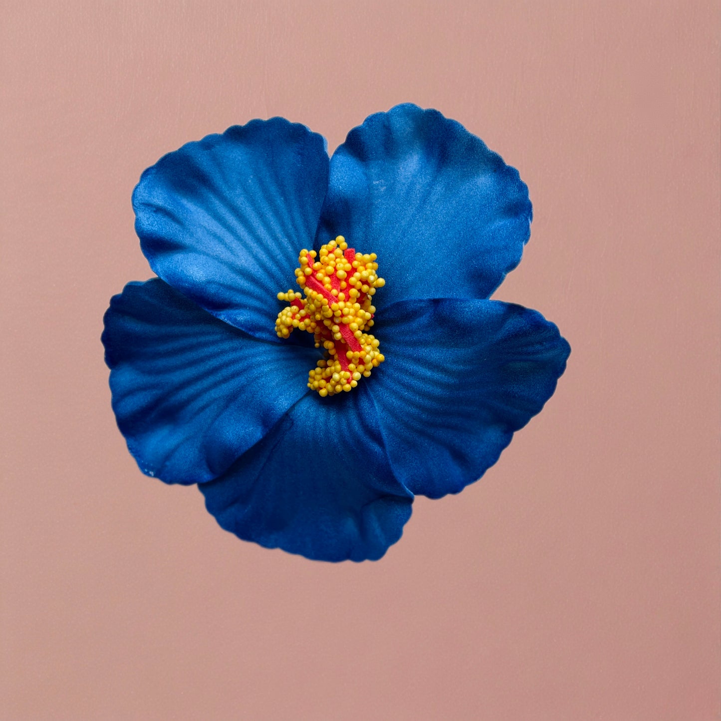 Hibiscus Hair Clip/Corsage