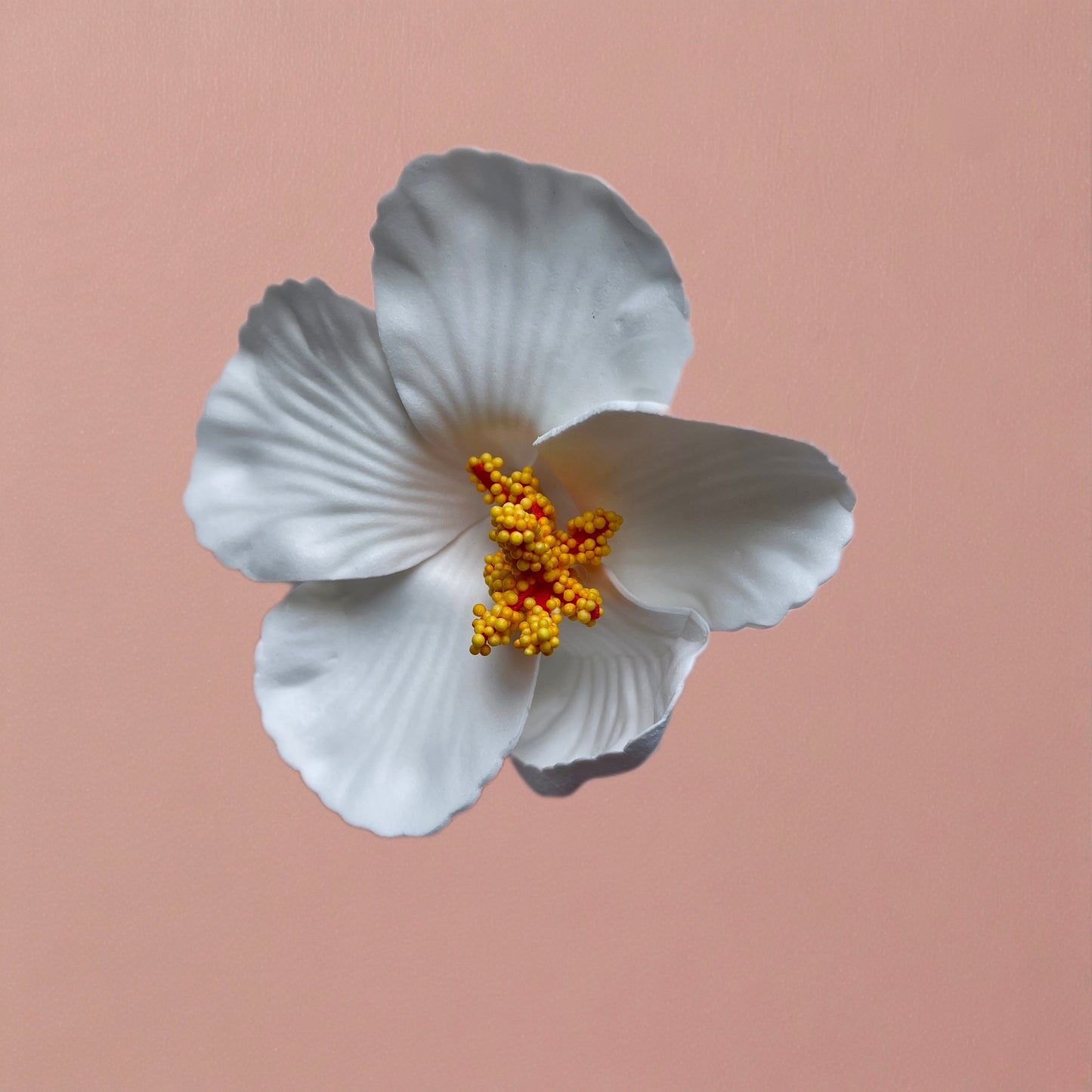 Hibiscus Hair Clip/Corsage