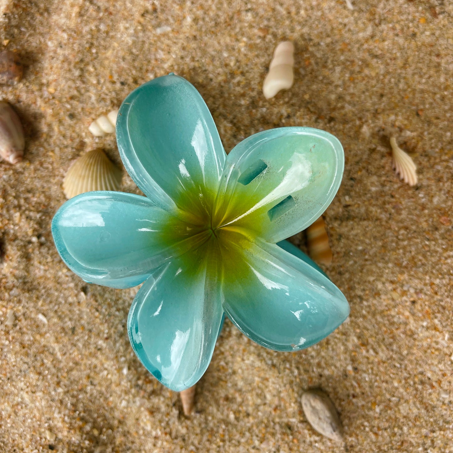 Tropical Hair Clip