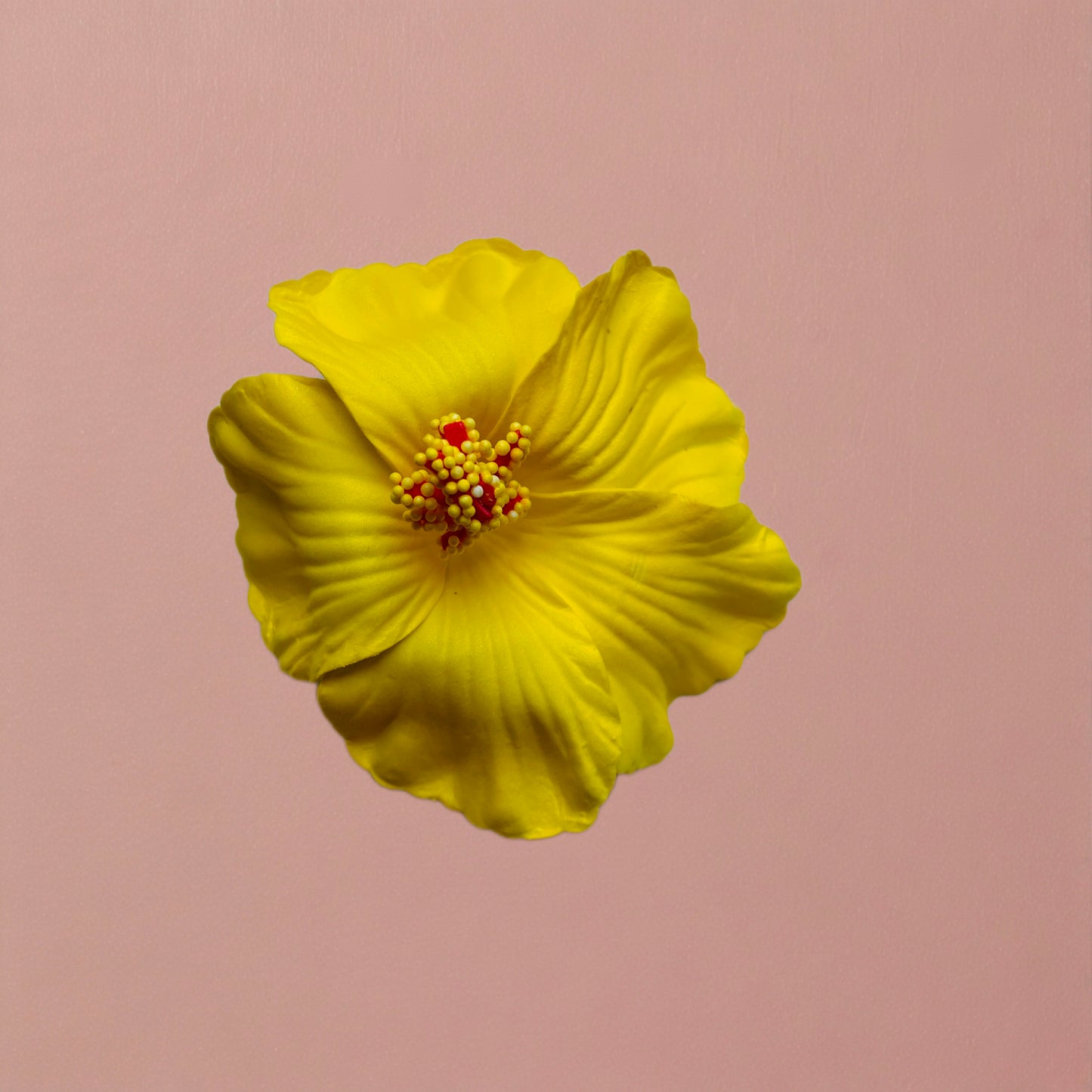 Hibiscus Hair Clip/Corsage