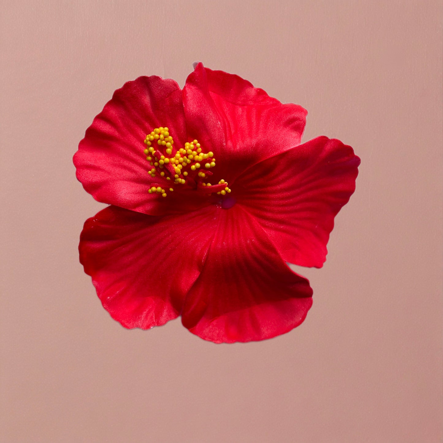 Hibiscus Hair Clip/Corsage